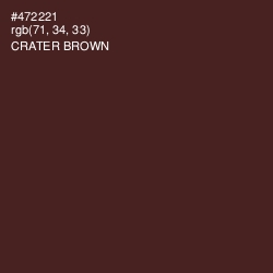 #472221 - Crater Brown Color Image